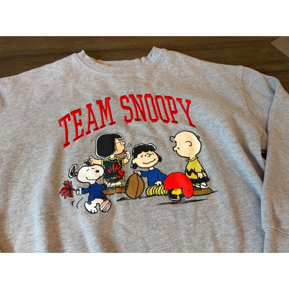 Peanuts Team Snoopy Sweatshirt Women Small Gray Graphic Pullover Charlie Brown - Picture 3 of 7